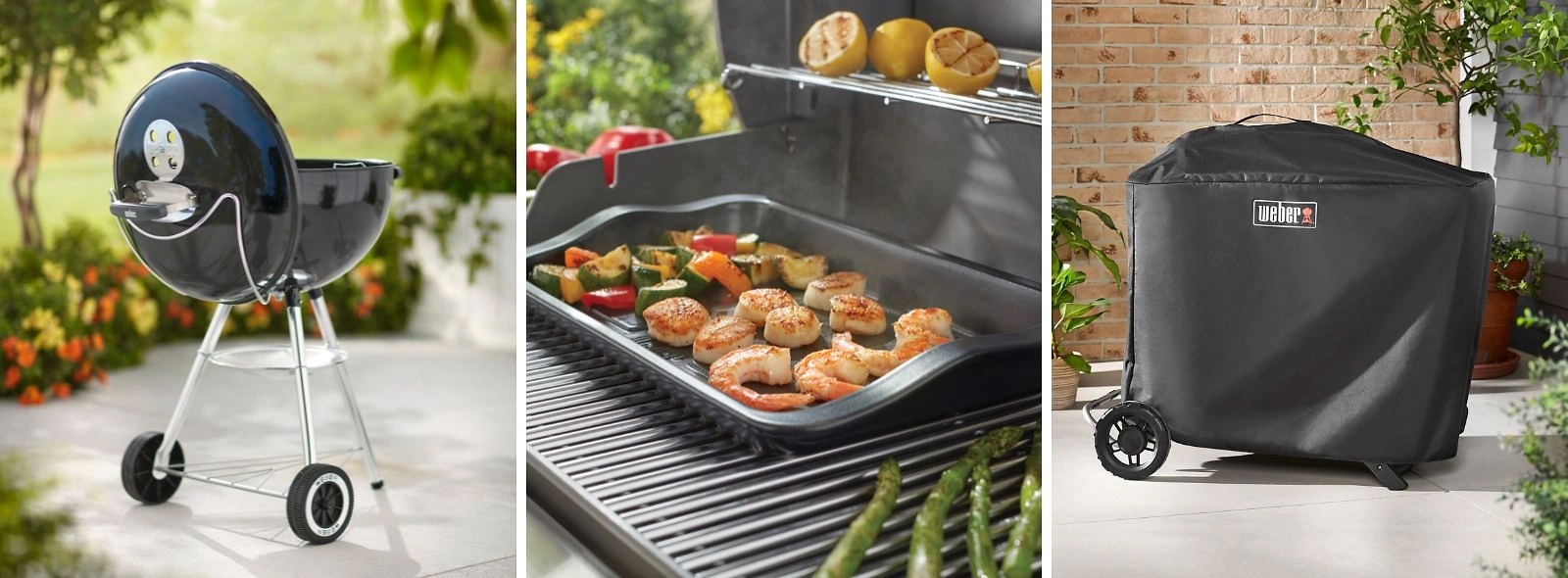 1600x590 weber