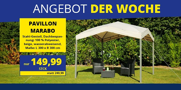 KW 35 2026 ADW Web News 1080x1350