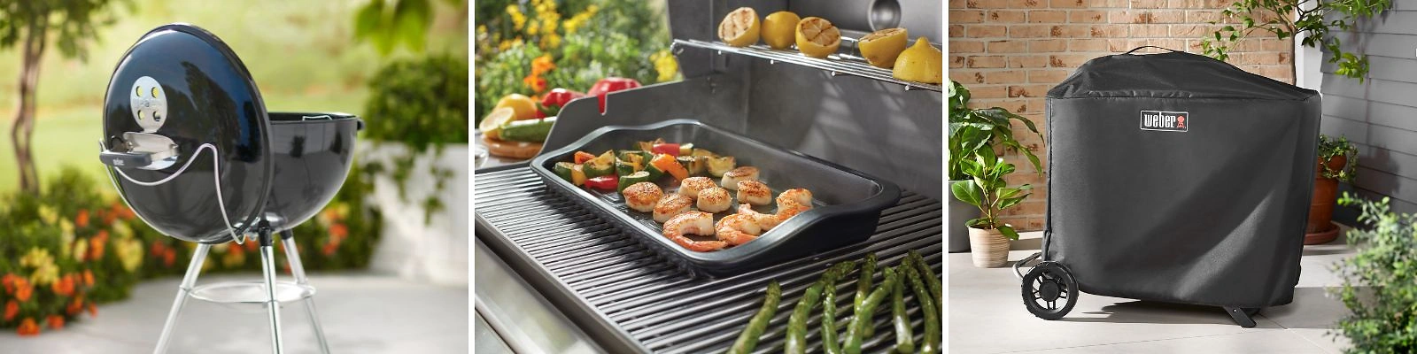 1600x400 weber