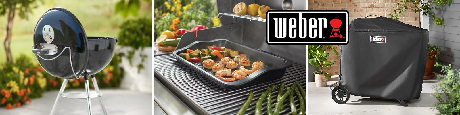 1600x400 Weber 1600x400 Weber