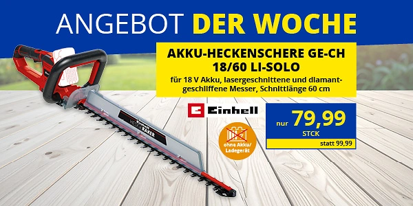 KW 17 2026 ADW MOB Webkachel