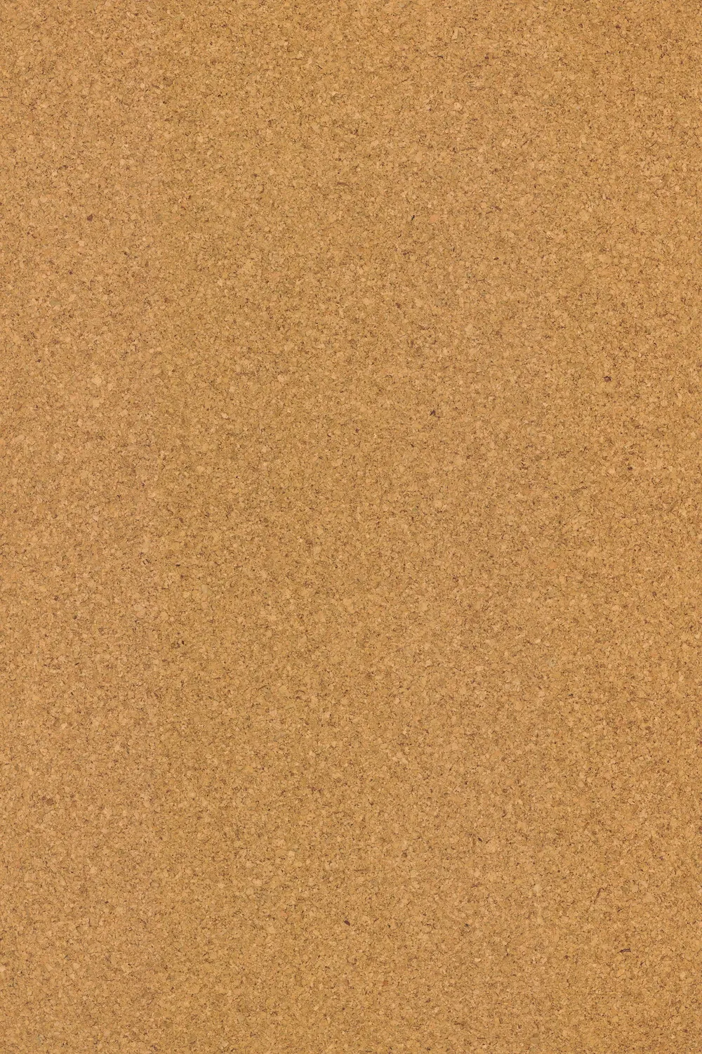 Korkparkett Moment natur