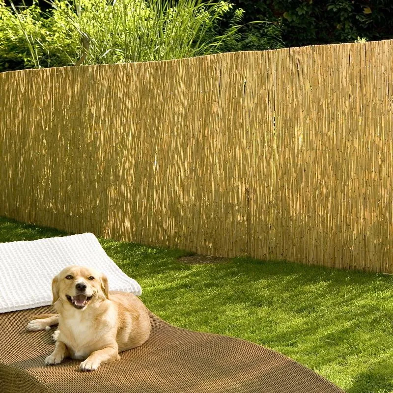 Schilfrohrmatte St.Tropez