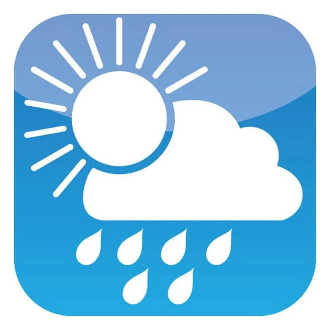 Sichtschutzmatte PVC