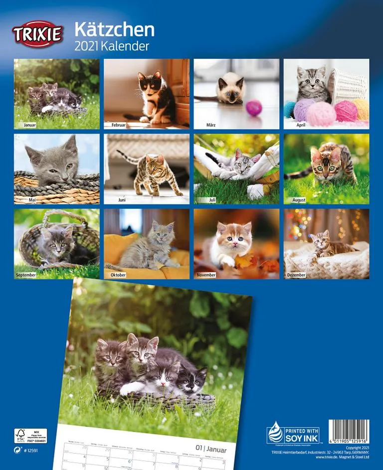 Kalender K&auml;tzchen