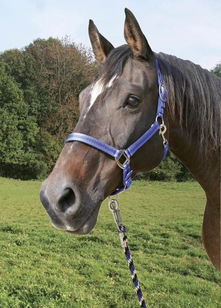 F&uuml;hrstrick Mustang Panikhaken,