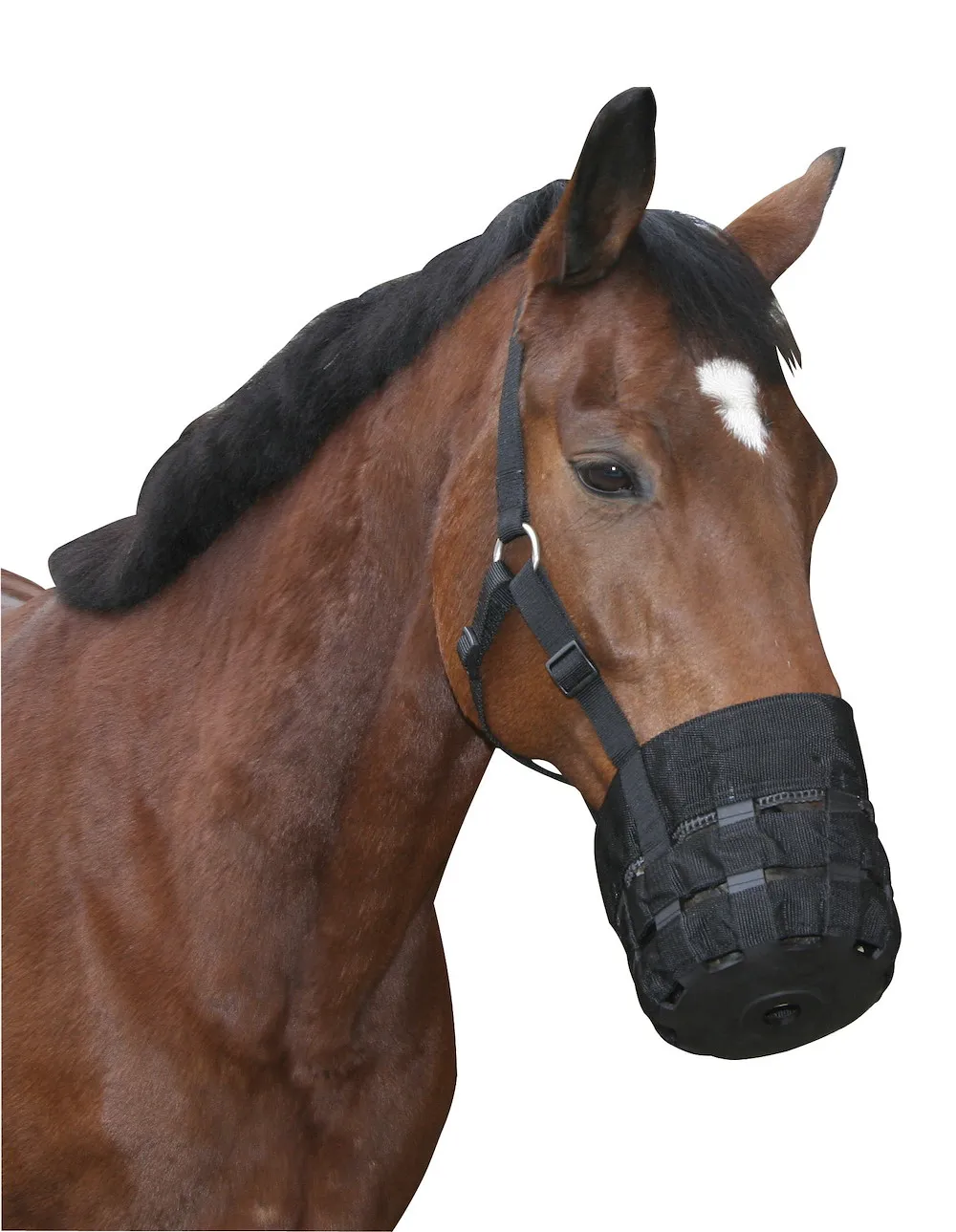 Maulkorb Nylon