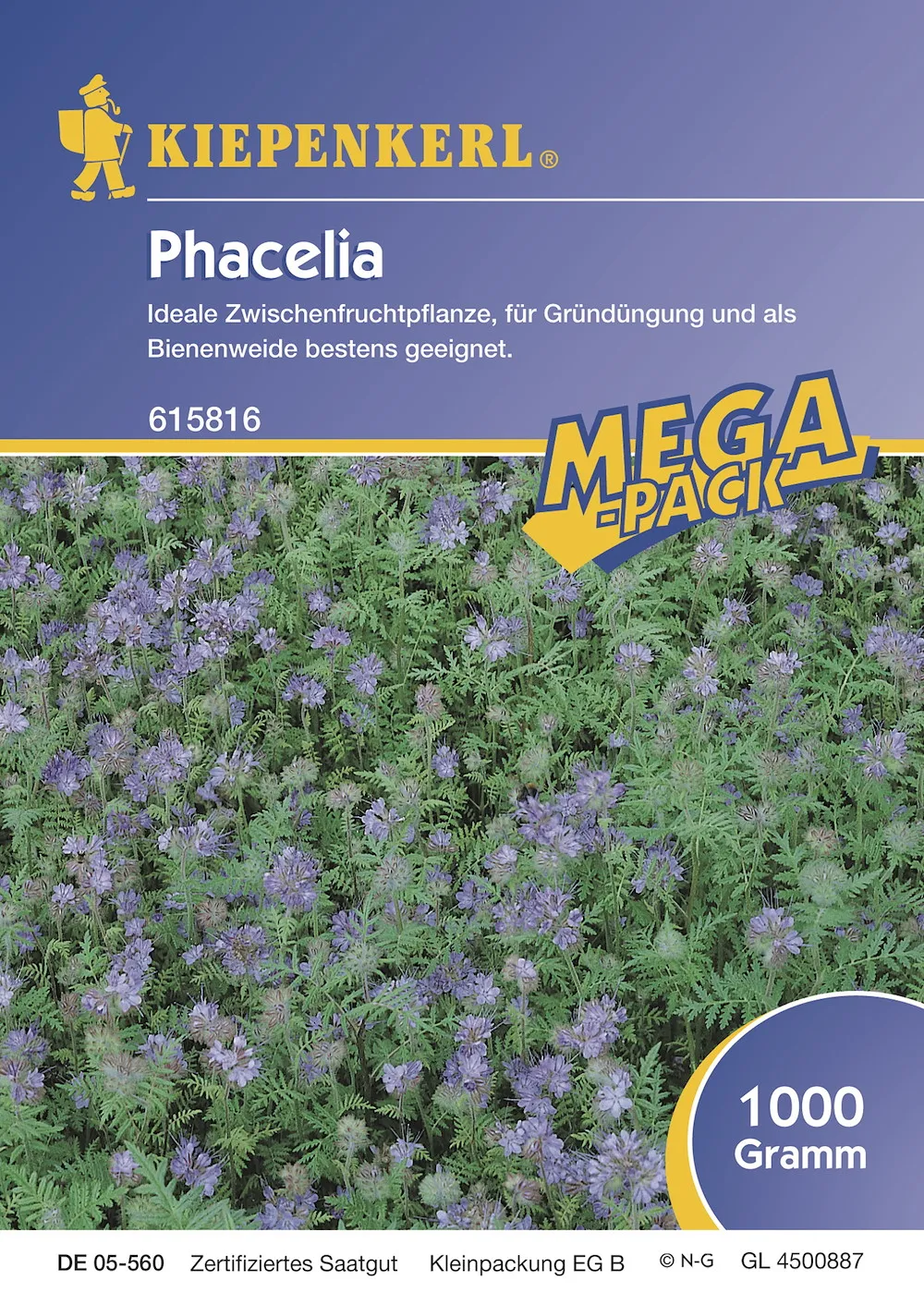 Nebelung Kiep. Phacelia