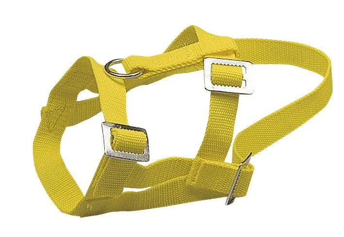 Kopfhalfter f&uuml;r Schafe + B&ouml;cke