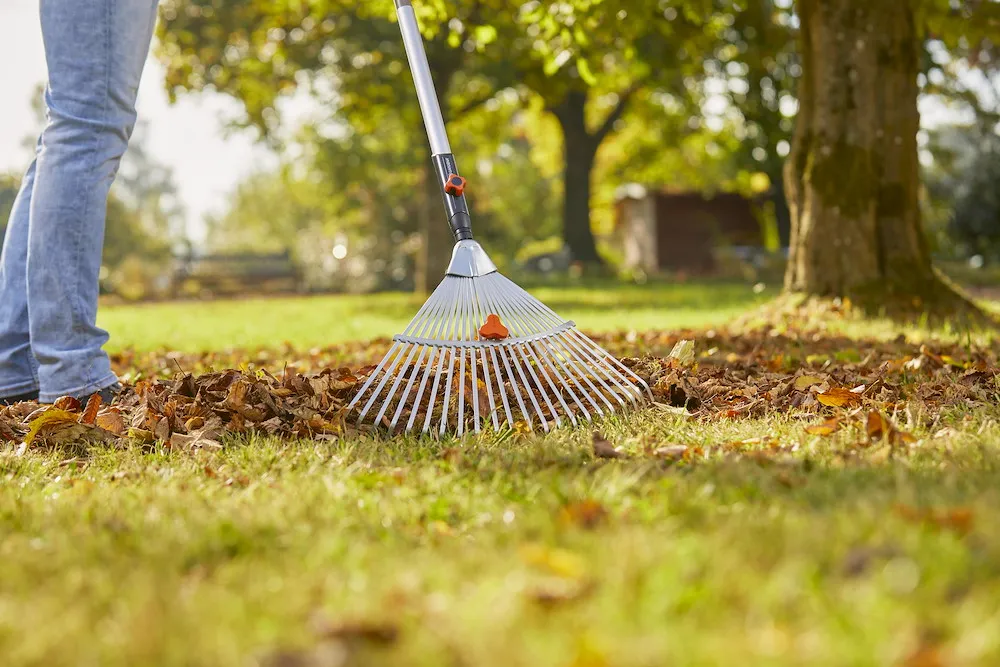 cs-Verstellbesen, 30-50 cm