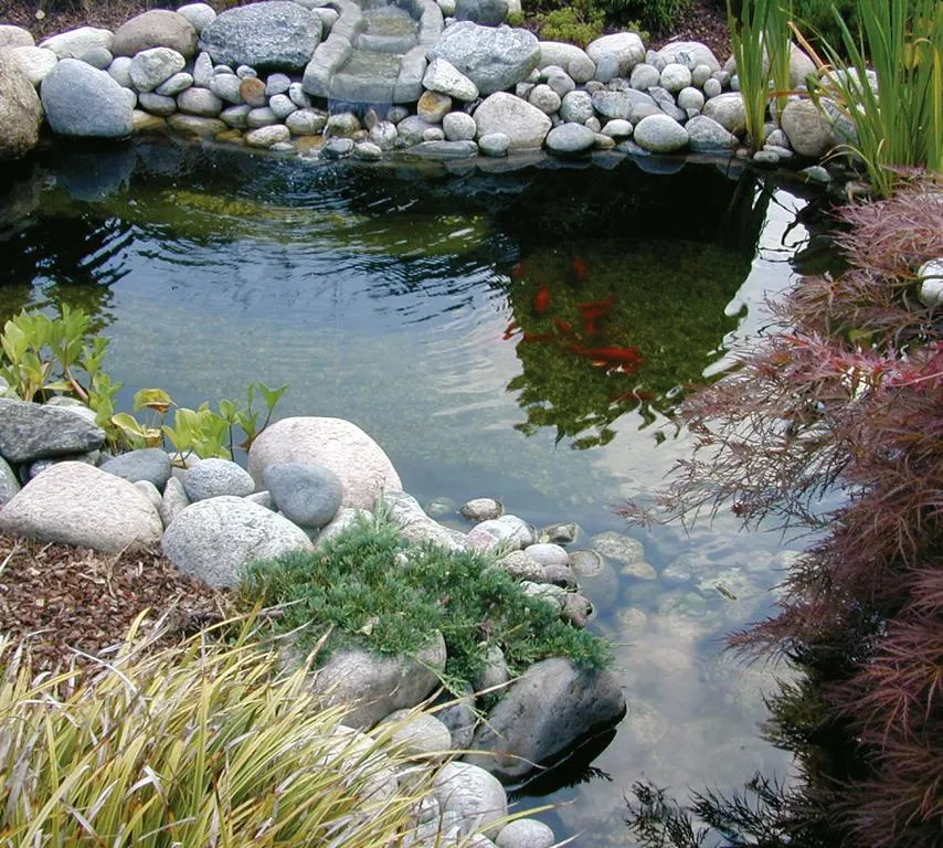 Neptun V Fertigteich GFK