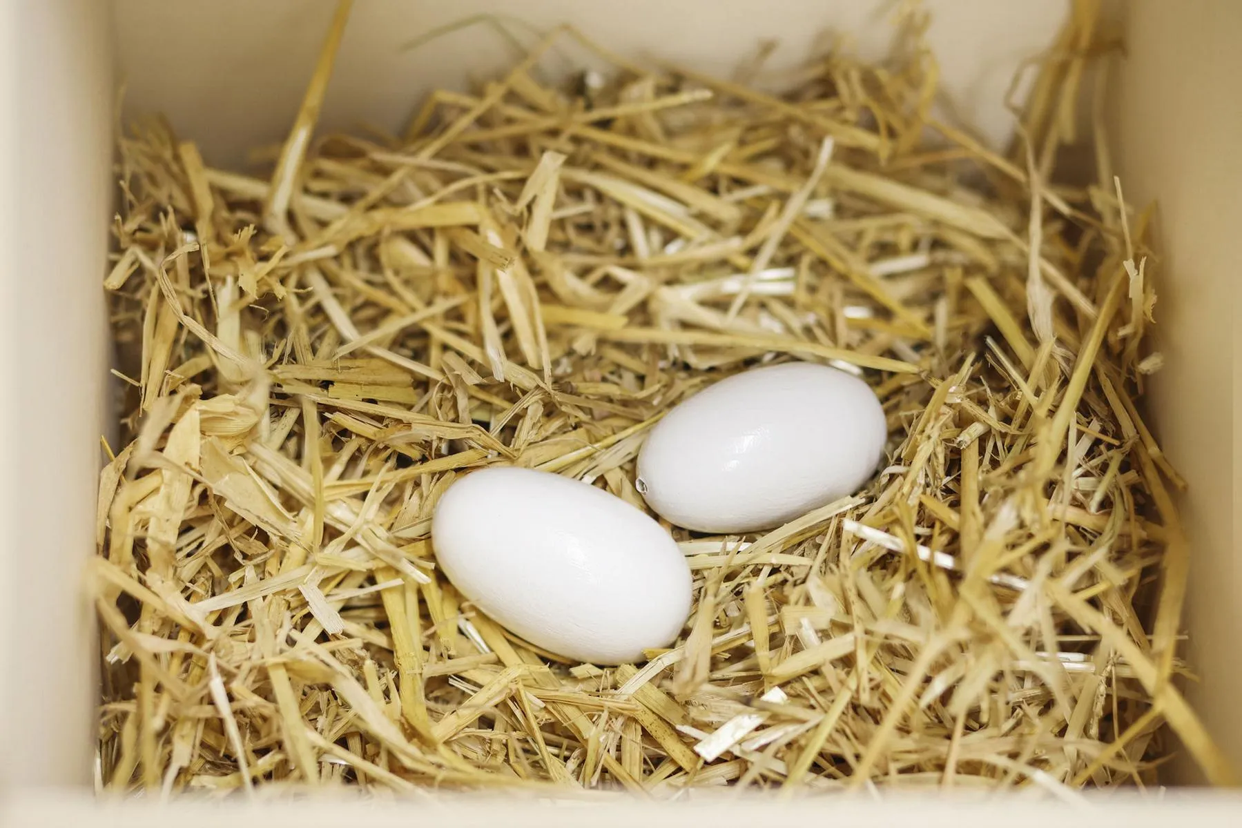 Nesteier f&uuml;r H&uuml;hner Holz