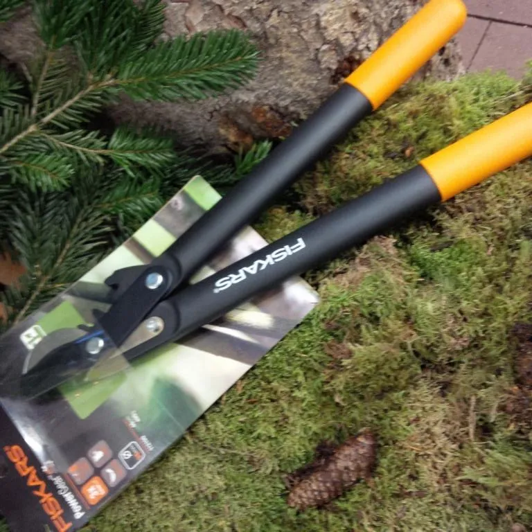 Bypass-Getriebeastschere,