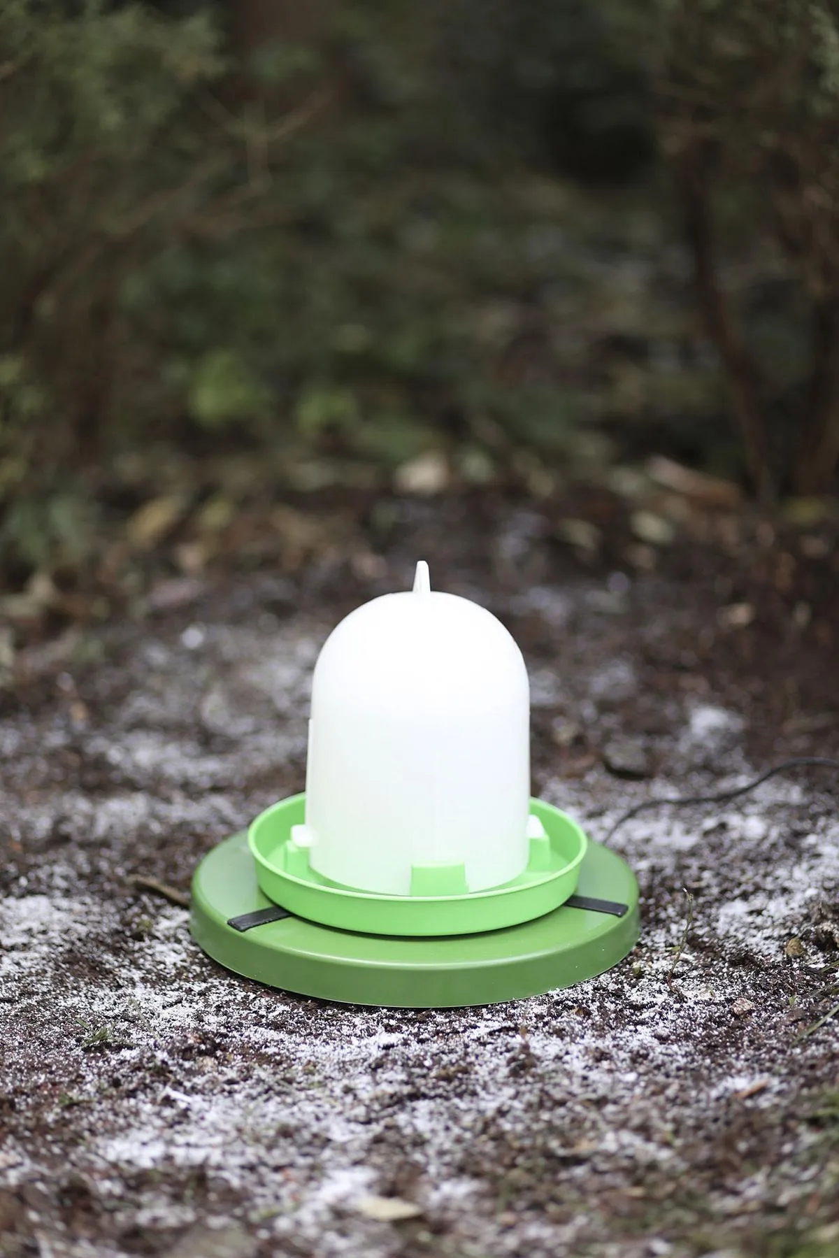 Heizplatte f&uuml;r Gefl&uuml;geltr&auml;nken