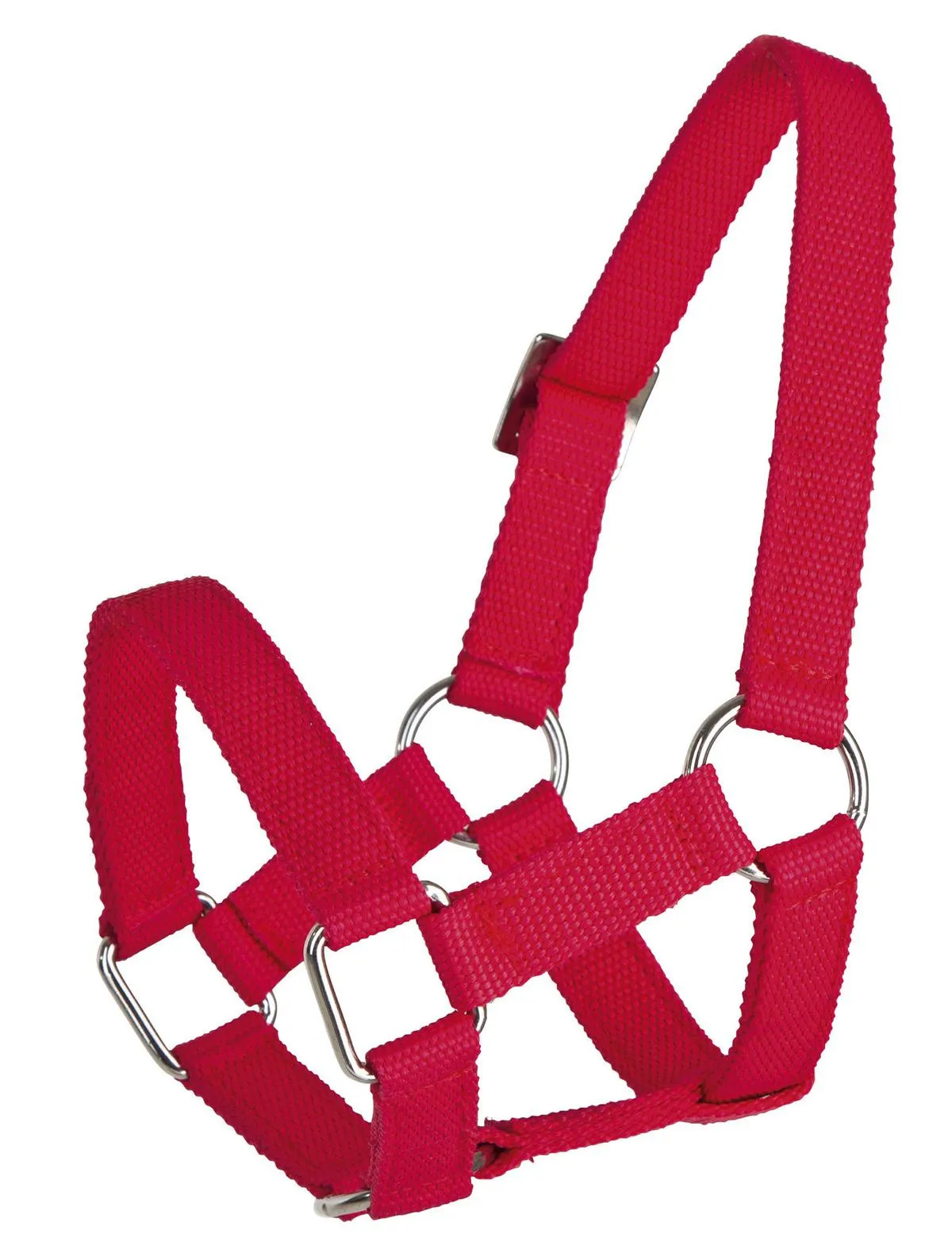 Kopfhalfter f&uuml;r Schafe,