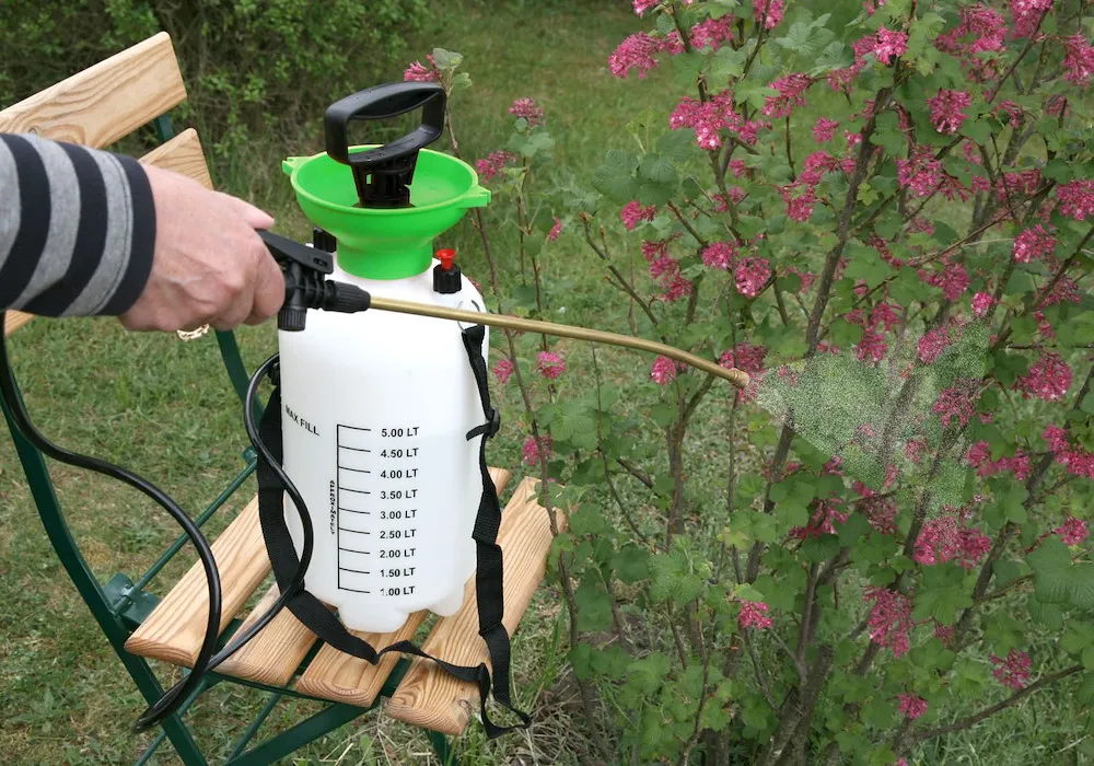 Gartendruckspr&uuml;her