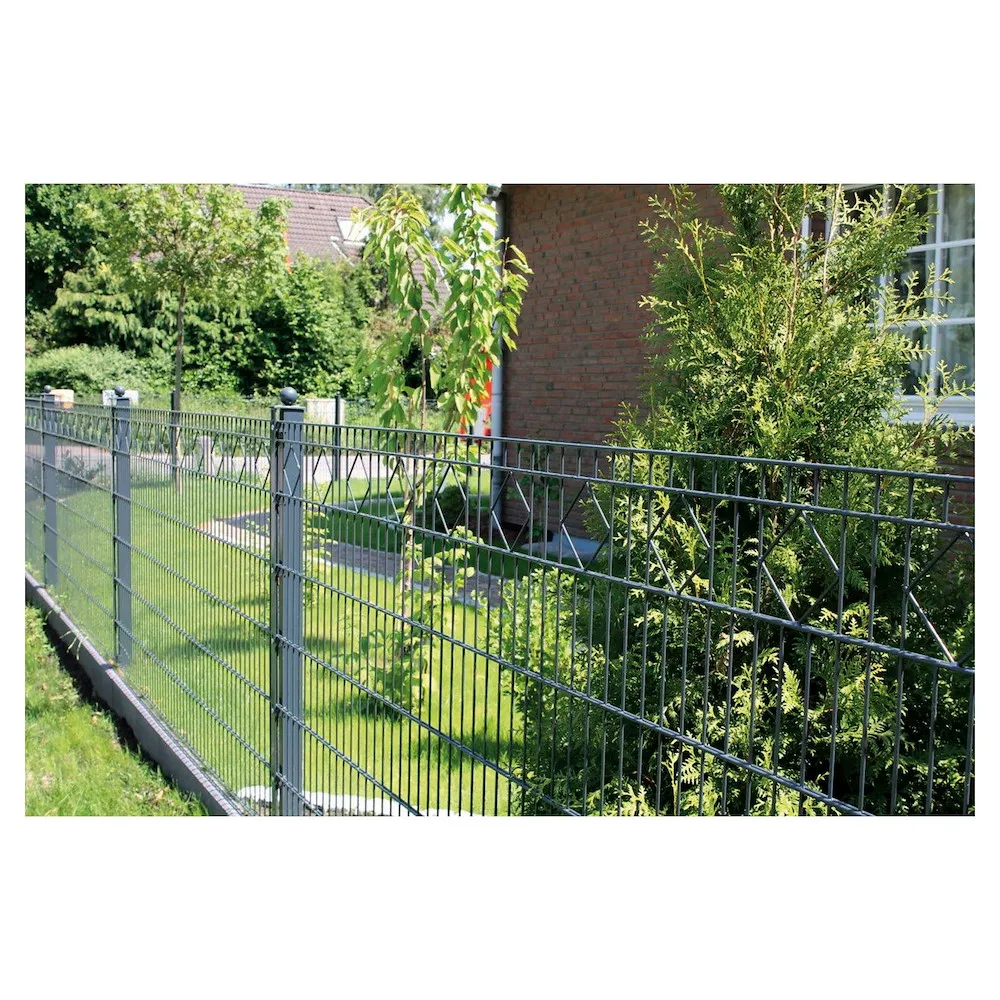 CARO Doppeltor RAL 7016 anth