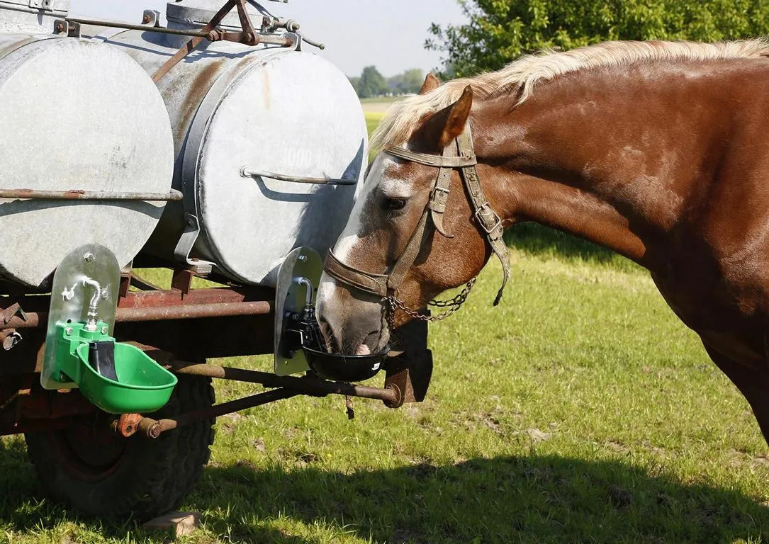 Adapterplatte f. Tr&auml;nkebecken