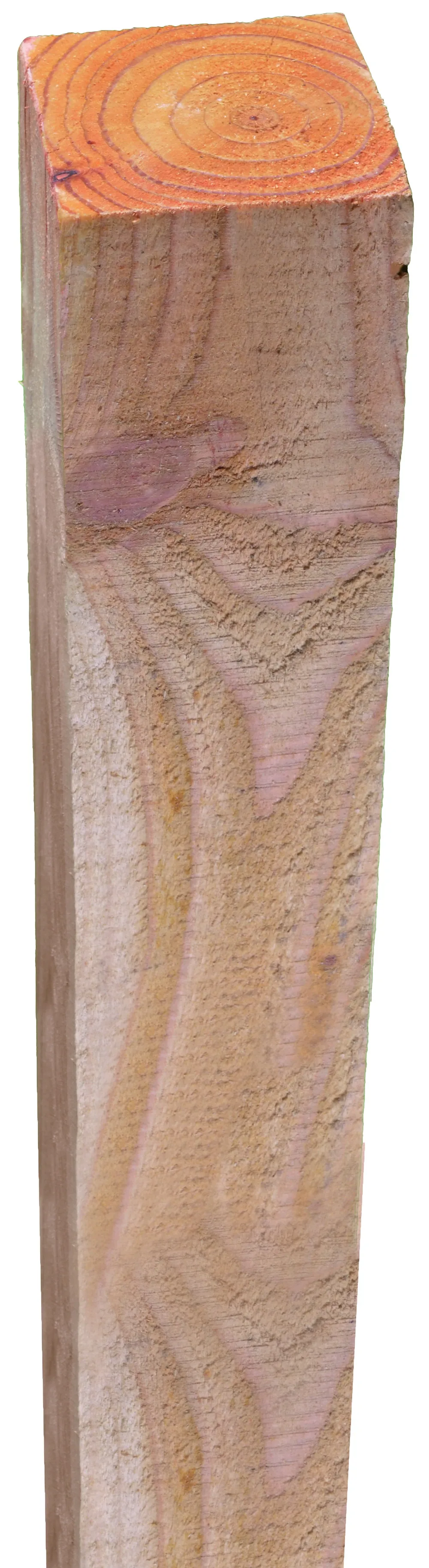 Pfosten L&auml;rche s&auml;gerau