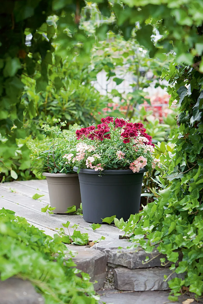 Topf Cylindro 40 cm 21,5 l