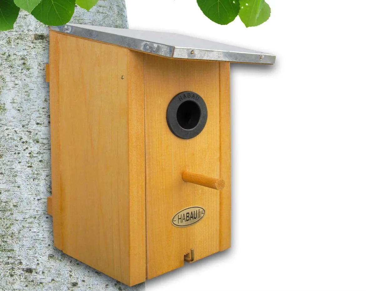 Nistkasten Flugl&ouml;cher auswechs