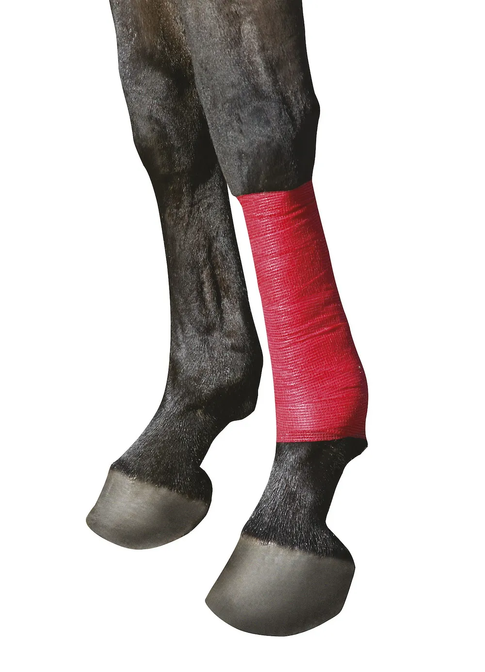 EquiLastic selbsthaftende