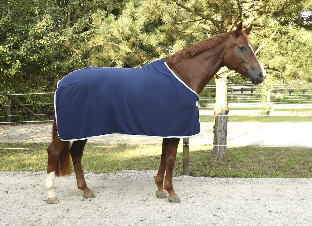 RugBe Fleecedecke Economic