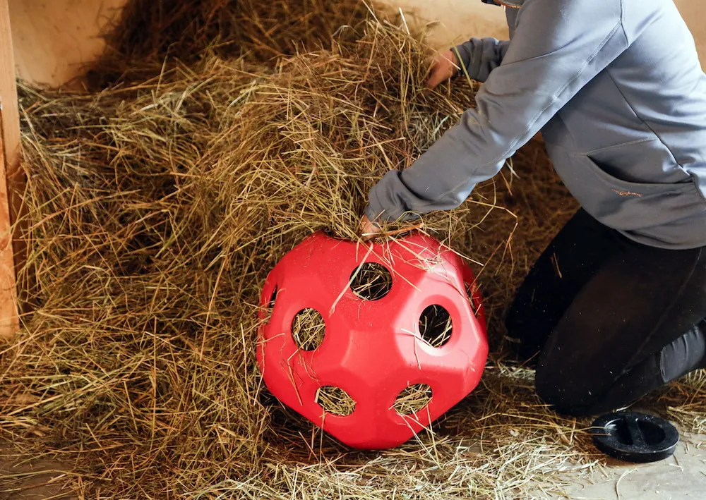 Futterspielball