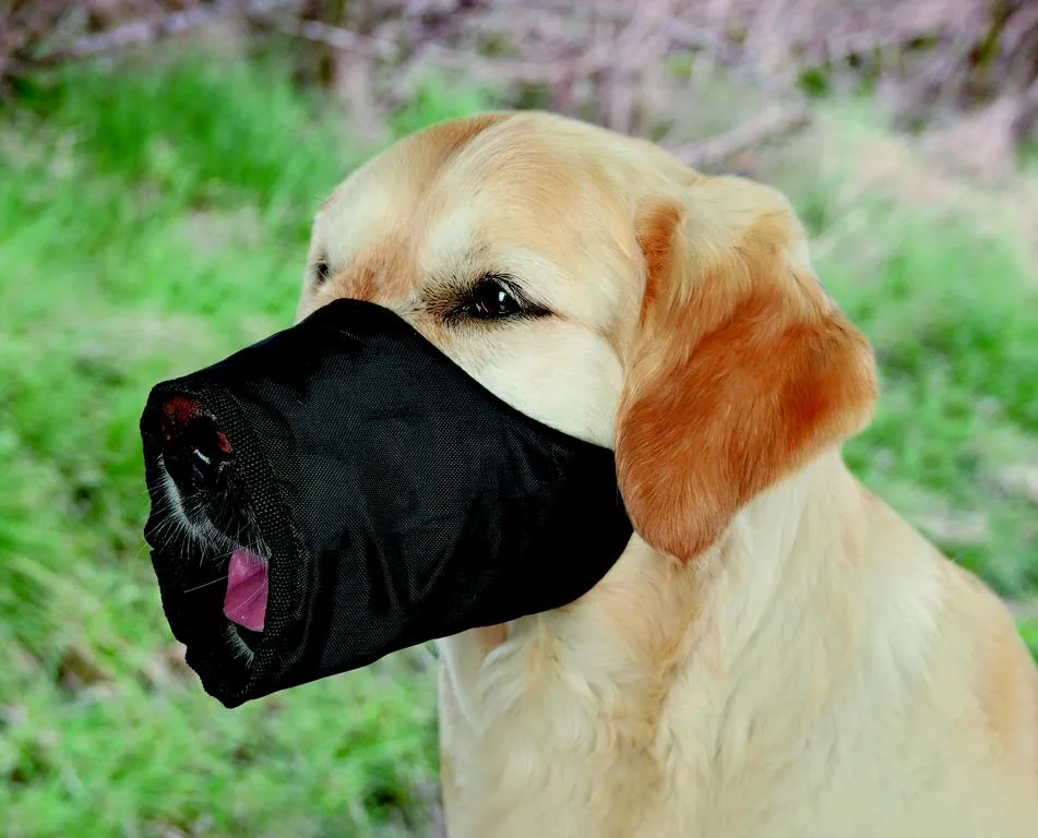 Maulkorb, Polyester, M