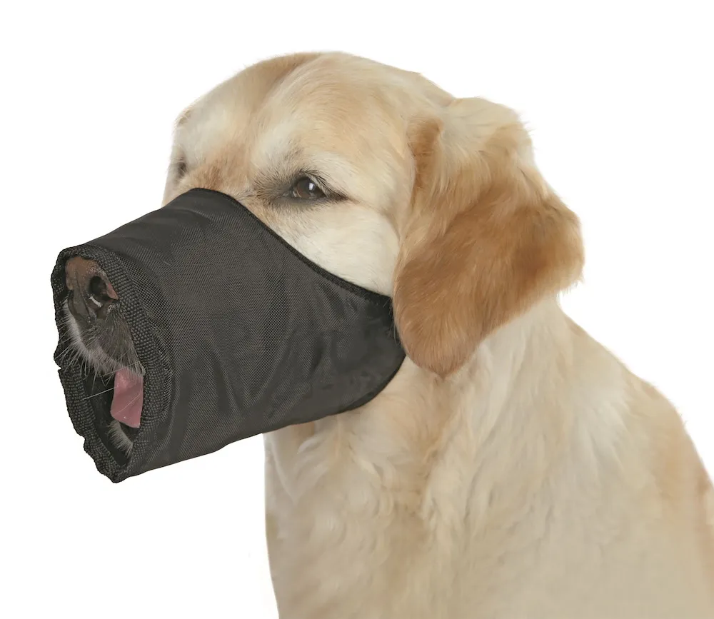 Maulkorb, Polyester, M