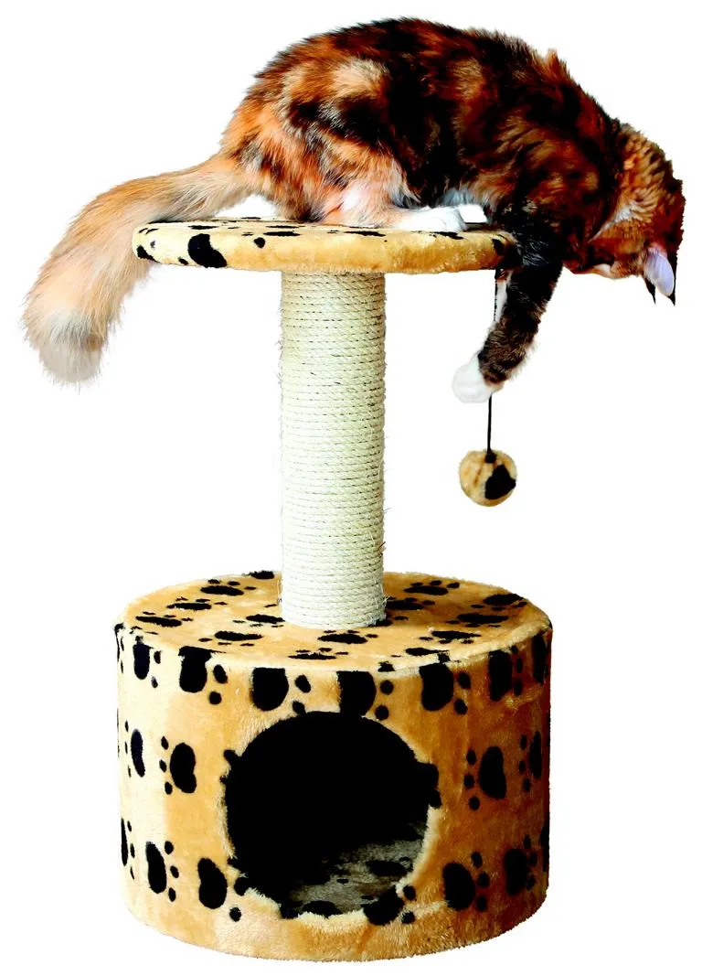 Kratzbaum 'Toledo', 61 cm,