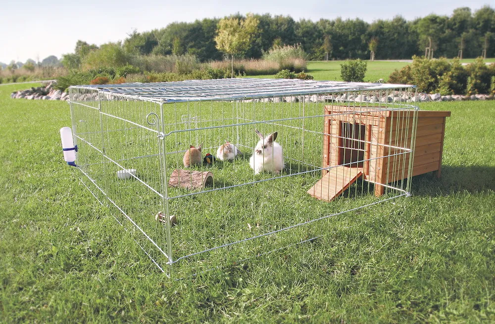 Freilaufgehege, 144x112x60cm