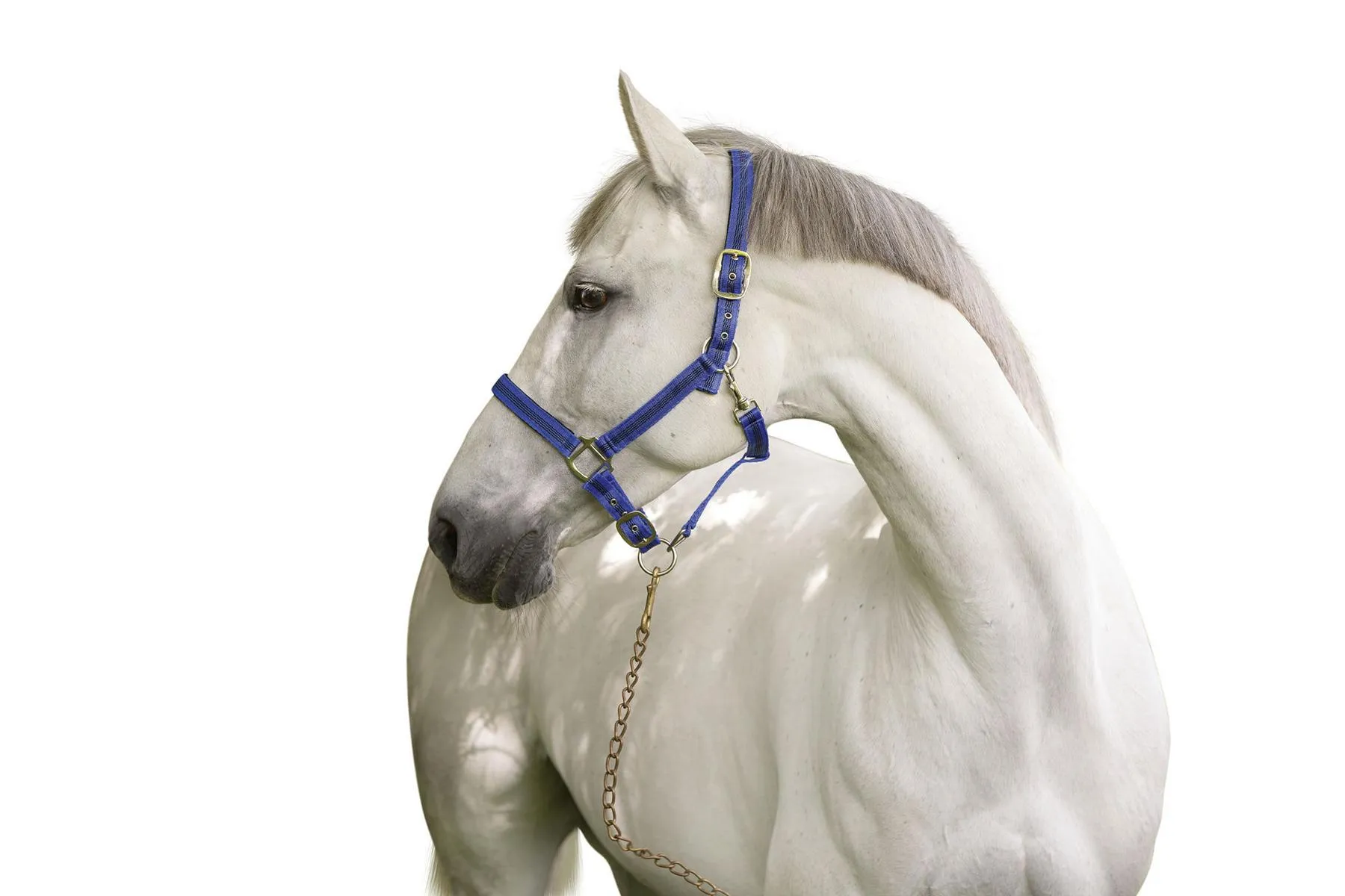 Halfter Mustang, Gr. 1, 2fach