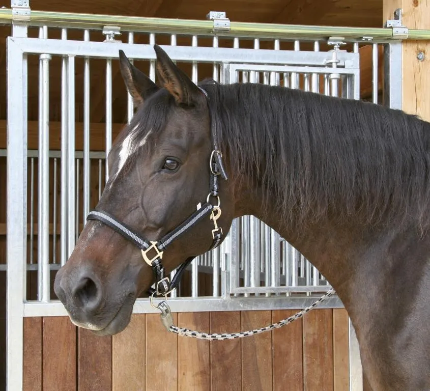 Halfter Mustang 2fach ,