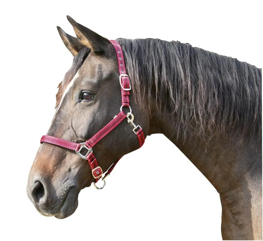 Halfter Mustang 2fach-