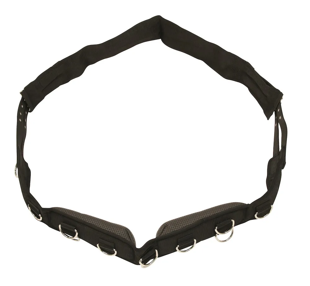 Longiergurt, breit, 9 Ringe