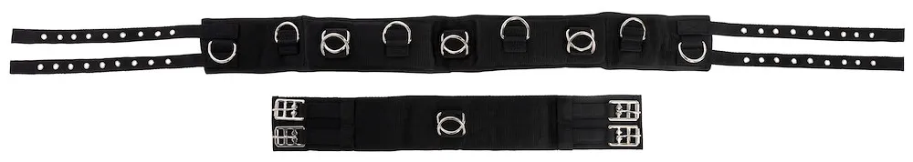 Longiergurt, breit, 9 Ringe