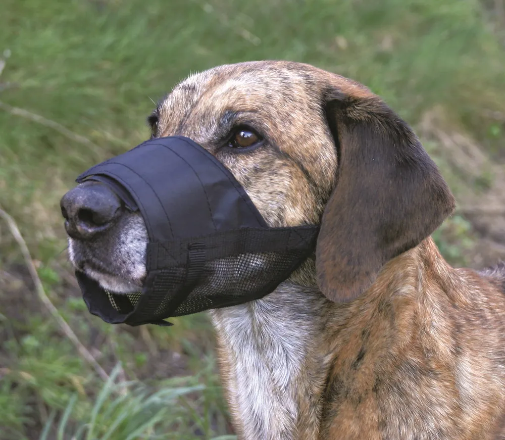 Maulkorb mit Netzeinsatz