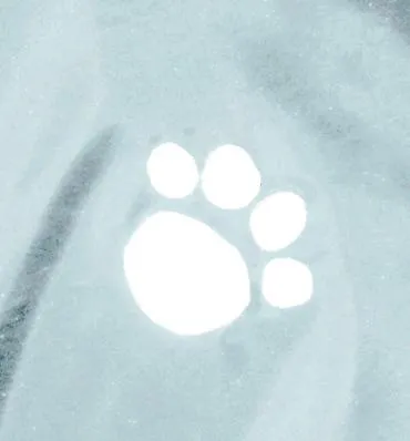 Regenmantel, transparent,