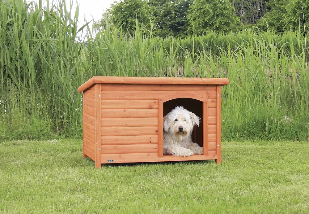 Natura Flachdach-Hundeh&uuml;tte,