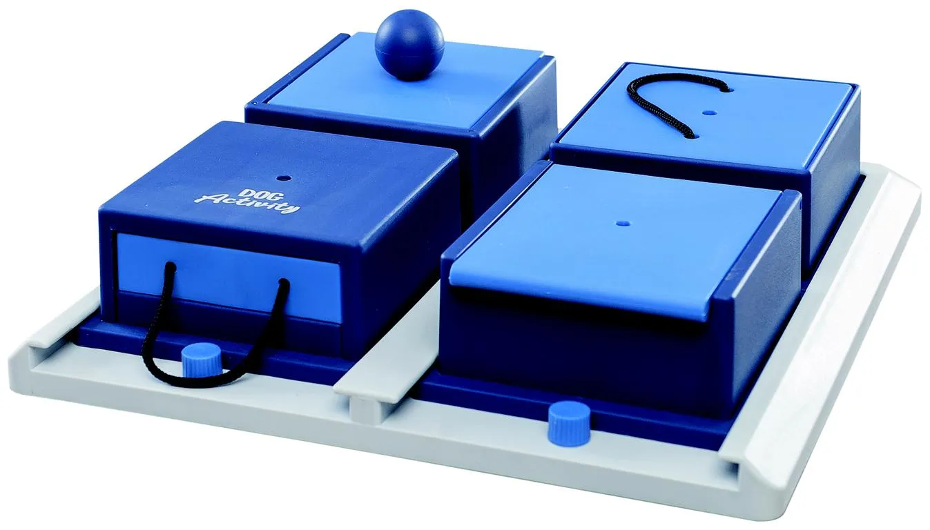 Dog Activity Poker Box