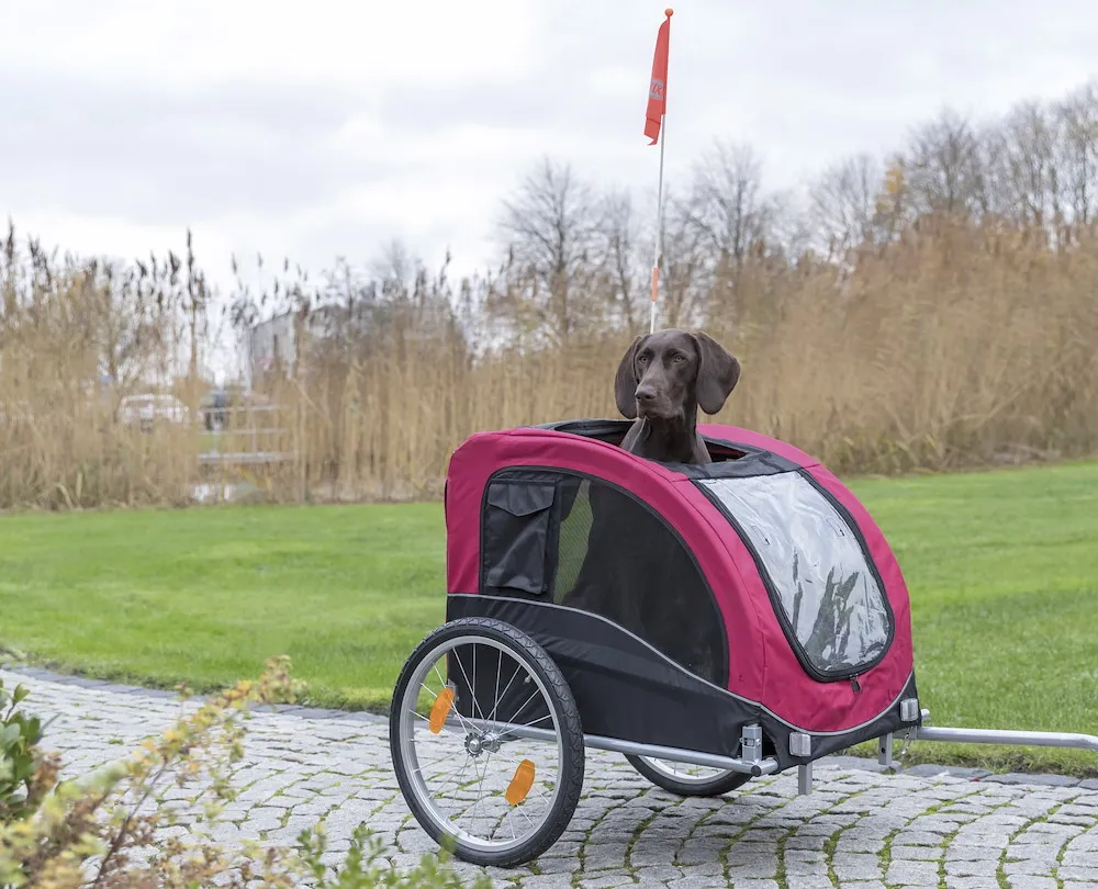 Fahrrad-Anh&auml;nger