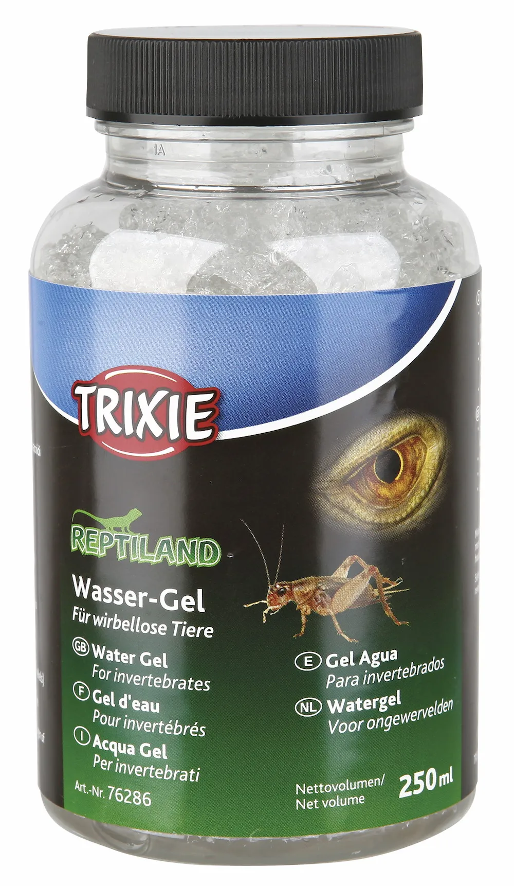 Wasser-Gel, wirbellose Tiere