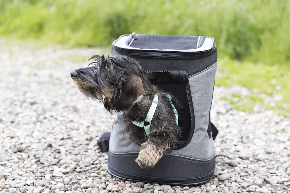 Timon Rucksack, Nylon