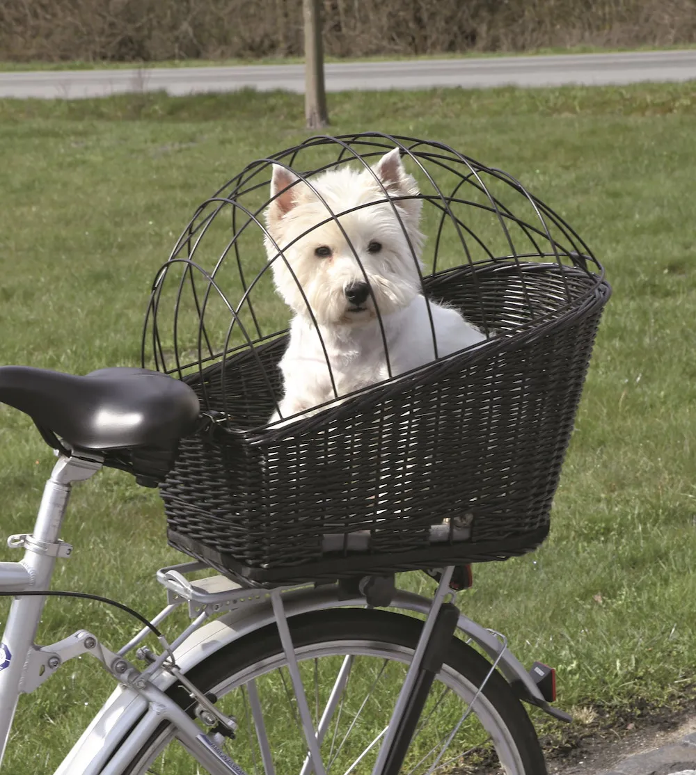 Fahrradkorb mit Gitter