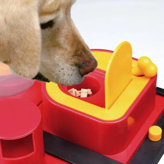 Dog Activity Poker Box 2,
