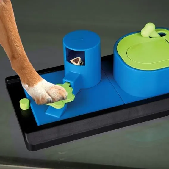 Dog Activity Poker Box Vario 2