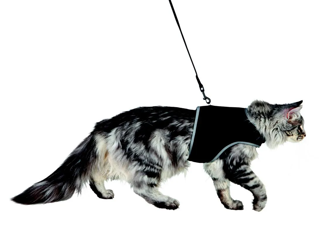 Softgeschirr mit Leine, Katze,