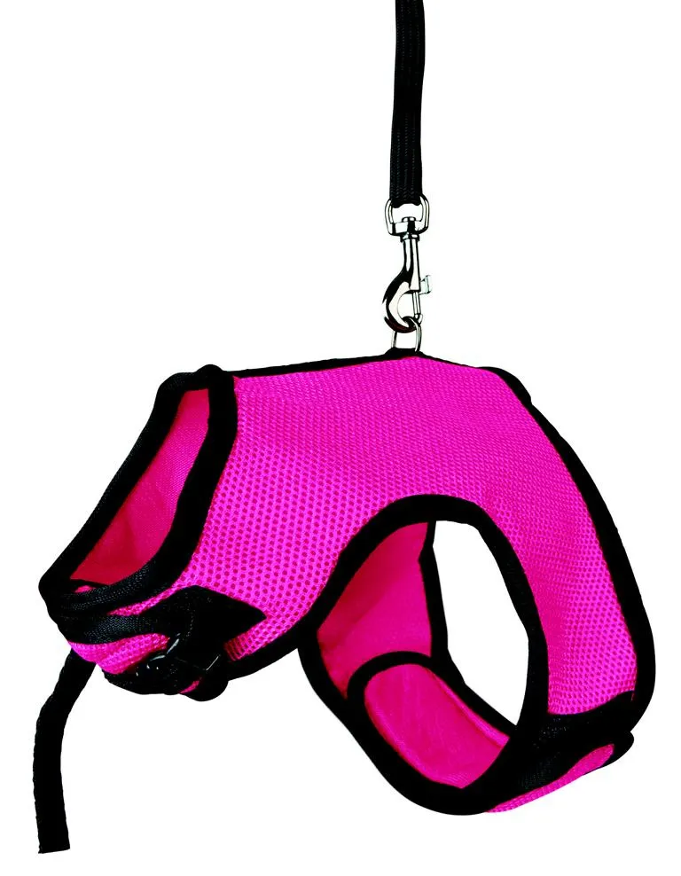 Softgeschirr mit Leine