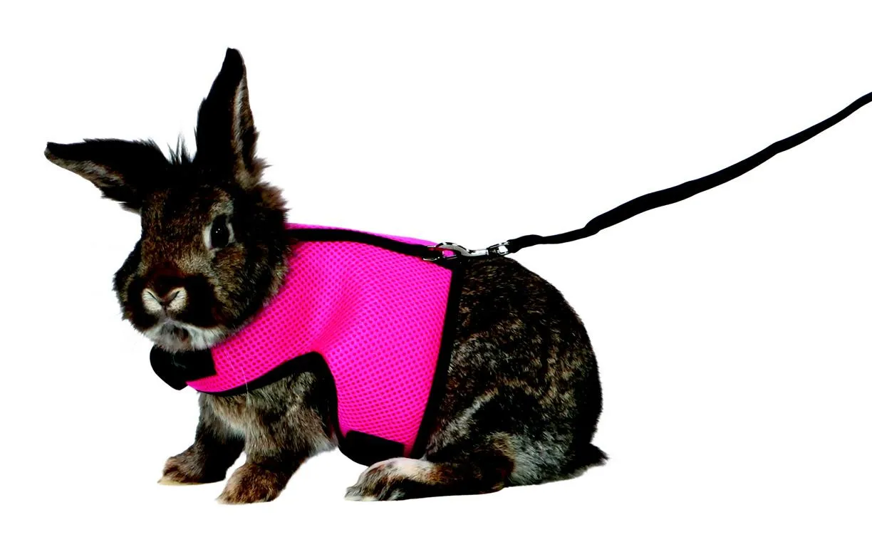 Softgeschirr mit Leine